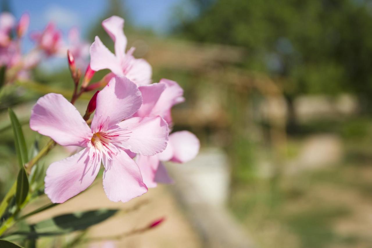 Las Mariposas Sant Antoni de Portmany Zewnętrze zdjęcie